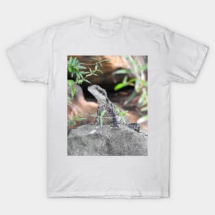 Eastern Water Dragon T-Shirt